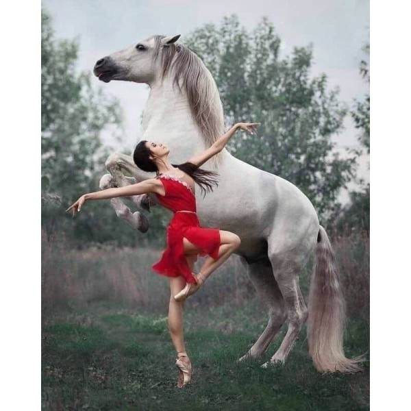 DIY Diamant Schilderij - Fantasie PIX-1843