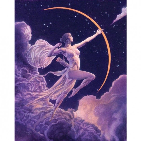 DIY Diamant Schilderij - Fantasie PIX-1967