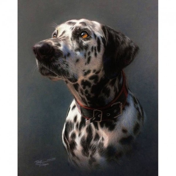 DIY Diamond Painting - Dieren PIX-2310