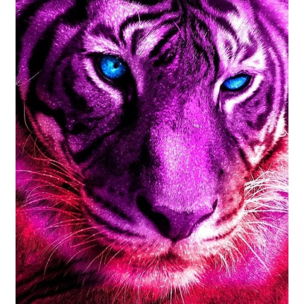 DIY Diamond Painting - Dieren PIX-2501