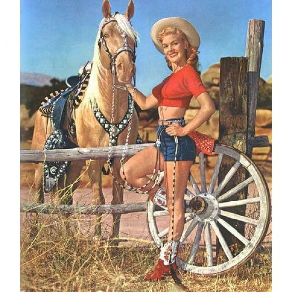 DIY Diamond Painting - Helden PIX-3558