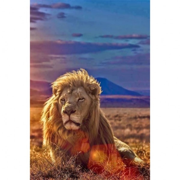 DIY Diamond Painting - Dieren PIX-2410