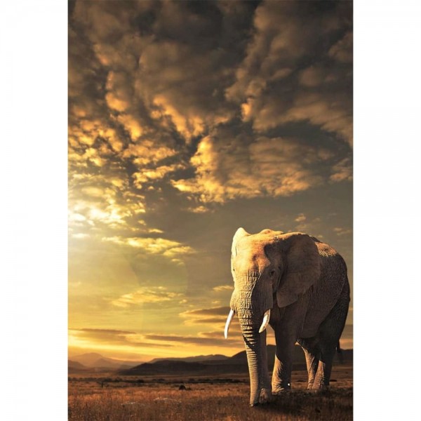 DIY Diamond Painting - Dieren PIX-2429