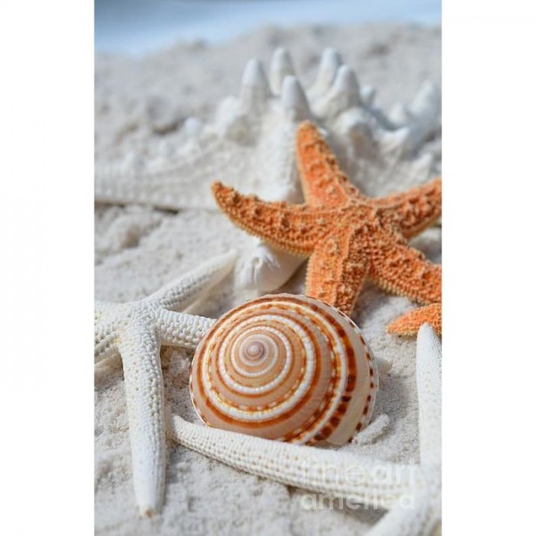 DIY Diamond Painting - Dieren PIX-2395