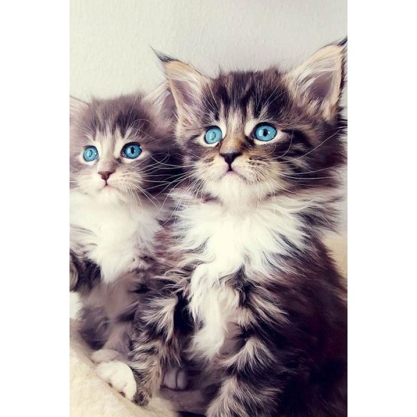 DIY Diamond Painting - Dieren PIX-2433