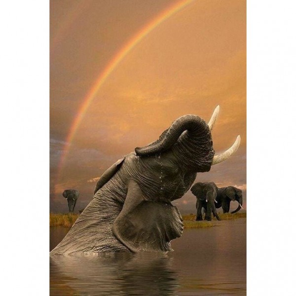 DIY Diamond Painting - Dieren PIX-2387