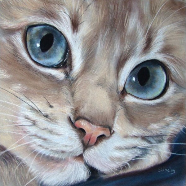 DIY Diamond Painting - Dieren PIX-2439