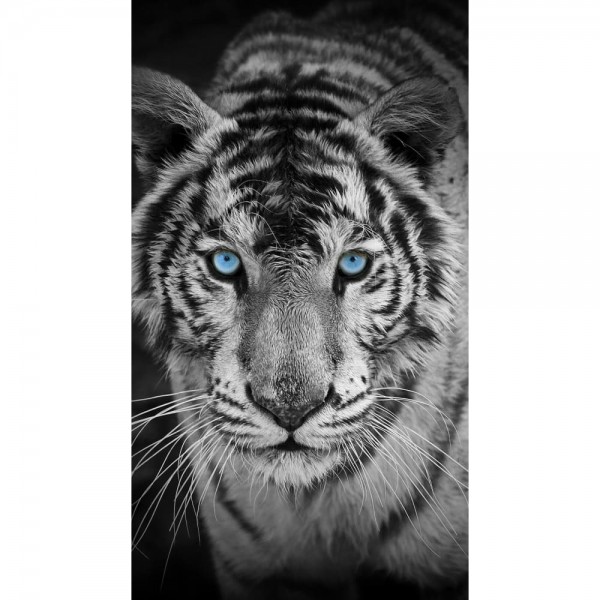 DIY Diamond Painting - Dieren PIX-2498