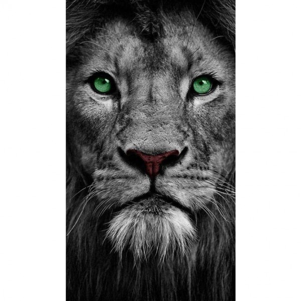 DIY Diamond Painting - Dieren PIX-2330