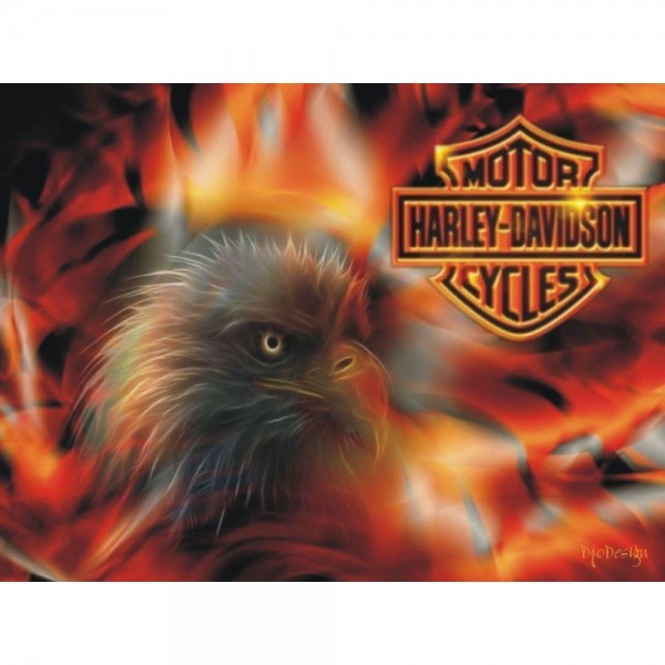 DIY diamant schilderij - Harley Eagle PIX-557