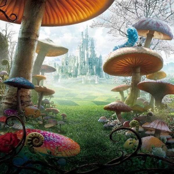 DIY Diamant Schilderij - Fantasie PIX-1903