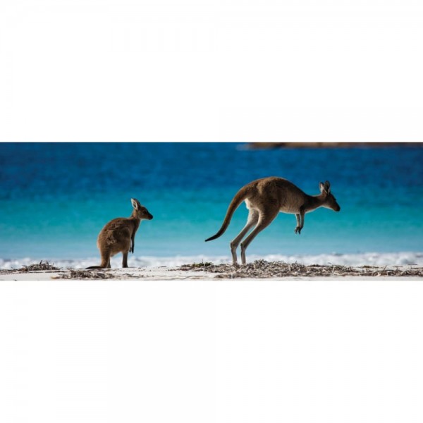 DIY Diamond Painting - Kangaroo Mom Island PIX-562
