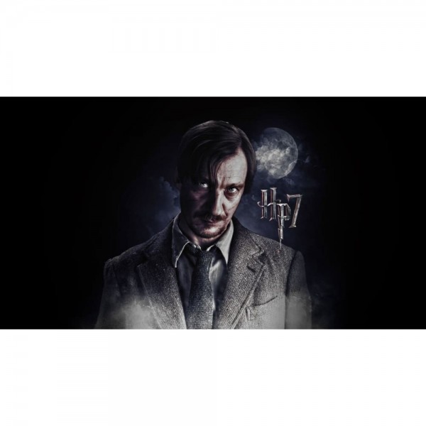 DIY diamant schilderij - Harry Potter PIX-1262