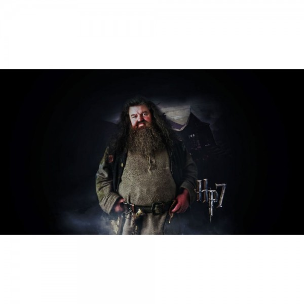 DIY diamant schilderij - Harry Potter PIX-1277