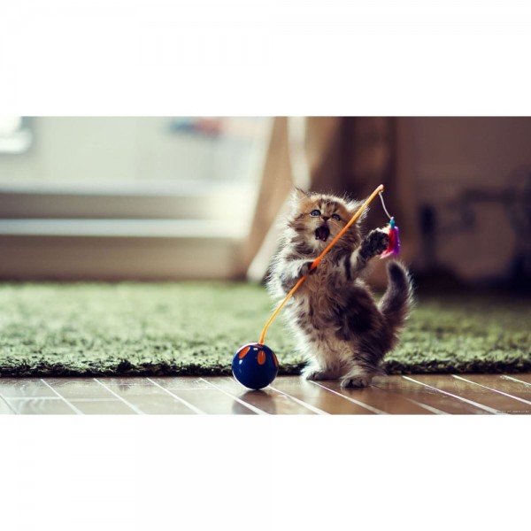 DIY Diamond Painting - Kat PIX-1350