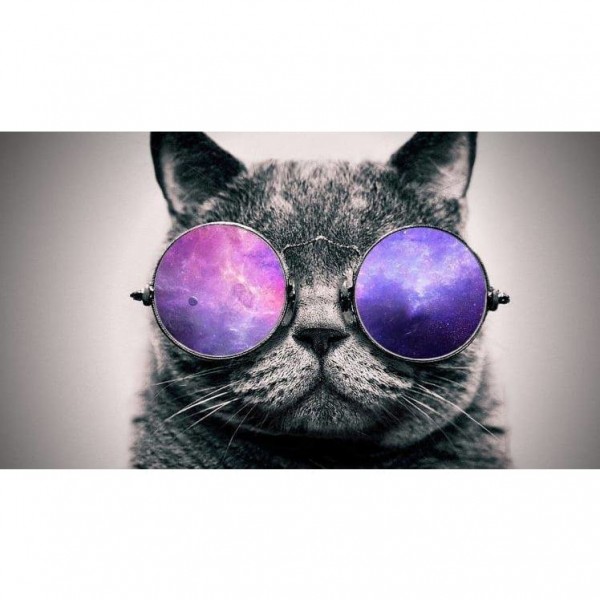 DIY Diamond Painting - Kat PIX-1344