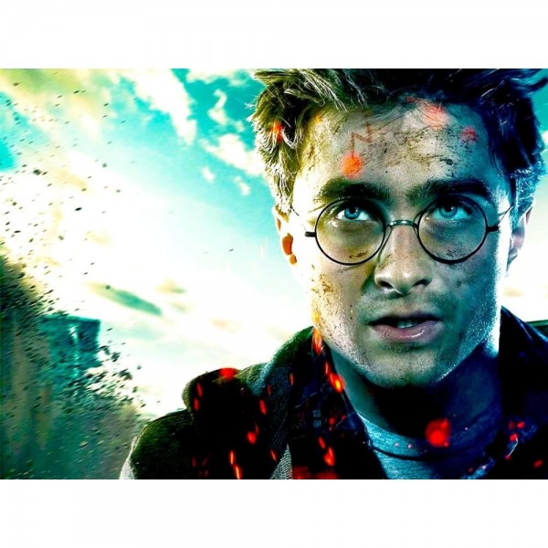 DIY diamant schilderij - Harry Potter PIX-1265