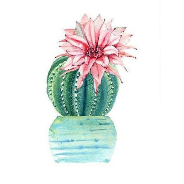 DIY Diamond Painting - Plant Cactus I PIX-585