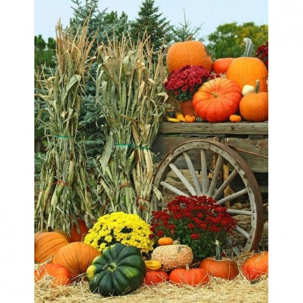 DIY Diamond Painting - Thanksgiving Day & Halloween PIX-3282