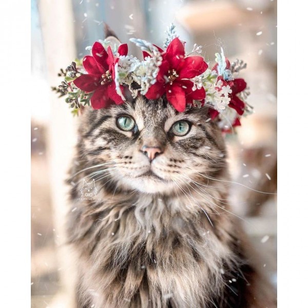 DIY Diamond Painting - Dieren PIX-2346