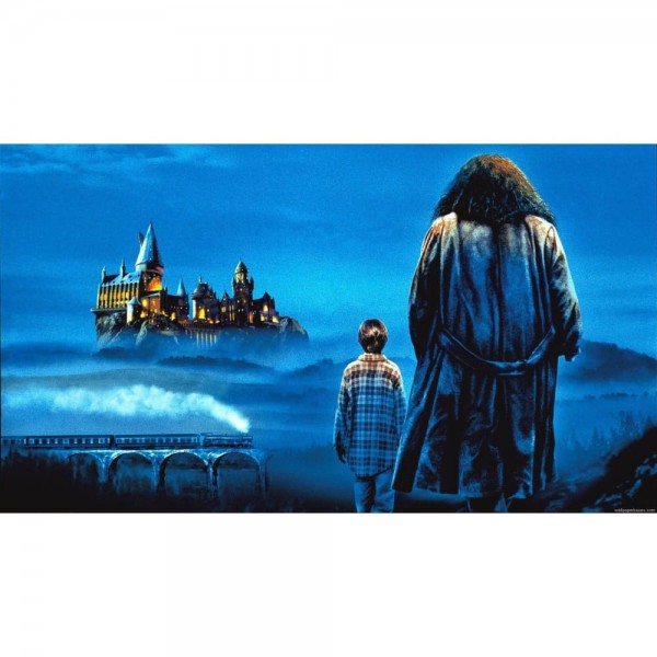 DIY Diamond Painting - Kasteelsneeuw PIX-356