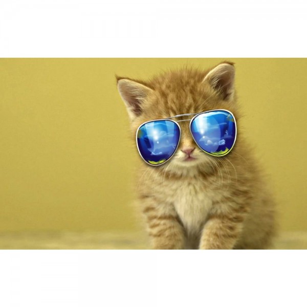 DIY Diamond Painting - Kat PIX-1367