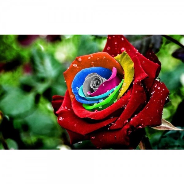 DIY Diamond Painting - Regenboogbloemen PIX-773