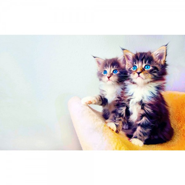 DIY Diamond Painting - Kat PIX-1345