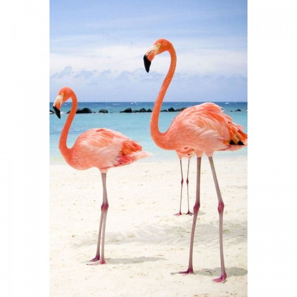 DIY Diamond Painting - Dieren PIX-2503