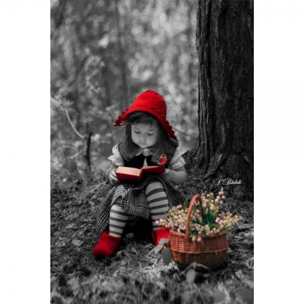 DIY diamant schilderij - Kinderen PIX-2742