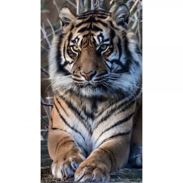 DIY Diamond Painting - Dieren PIX-2487