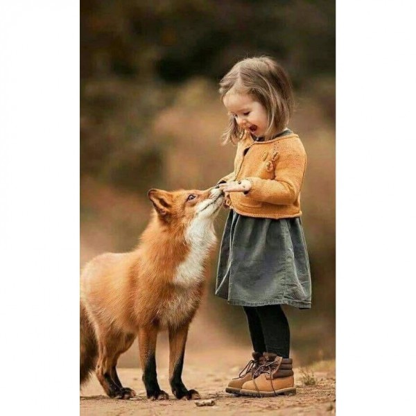 DIY diamant schilderij - Kinderen PIX-2658