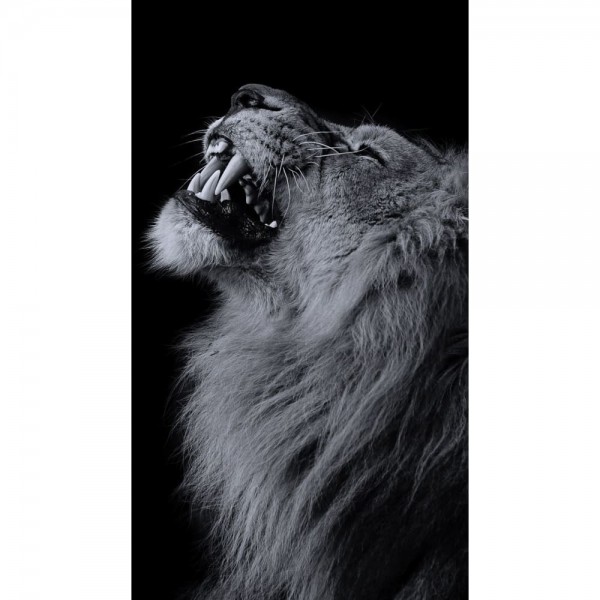 DIY Diamond Painting - Dieren PIX-2490