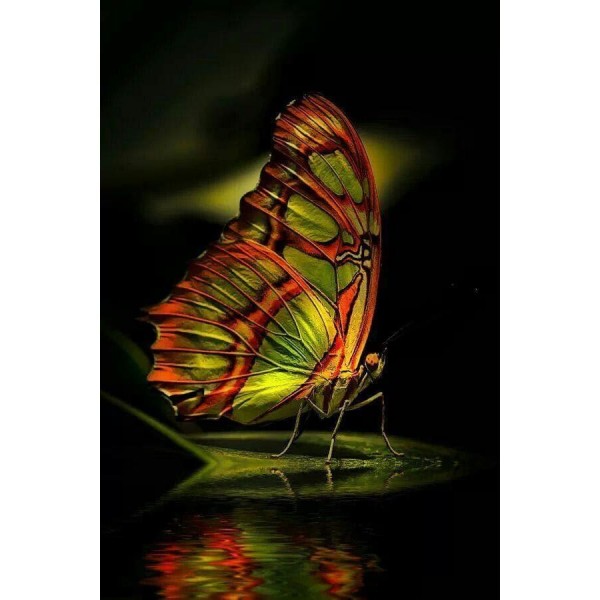 DIY Diamond Painting - Dieren PIX-2508