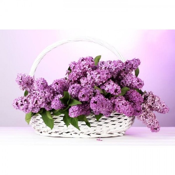 DIY Diamond Painting - Bloem PIX-688