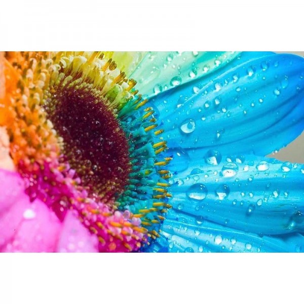 DIY Diamond Painting - Kleurrijke zonnebloemen PIX-70