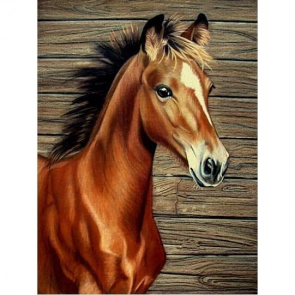 DIY Diamond Painting - Paard Little PIX-293