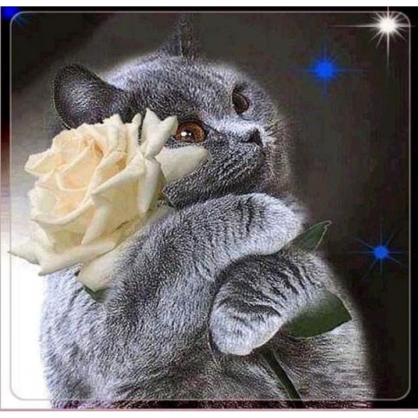 DIY Diamond Painting - Kat PIX-1337