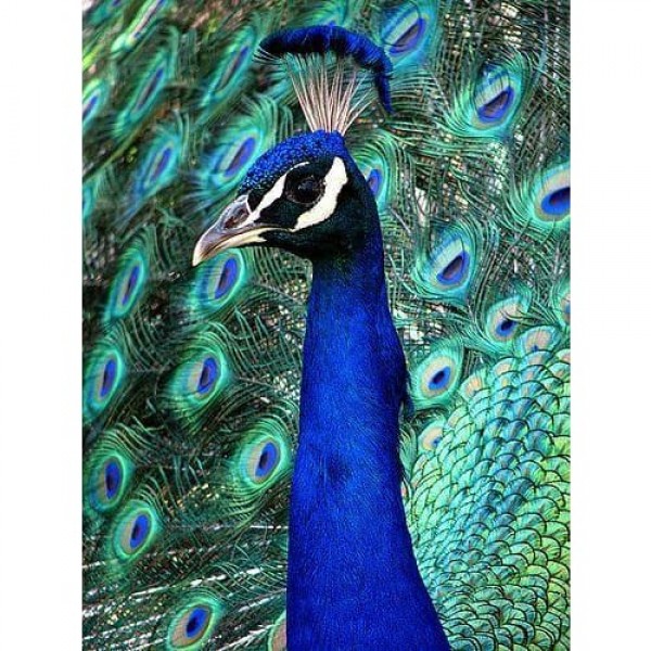 DIY Diamond Painting - Dieren PIX-2308