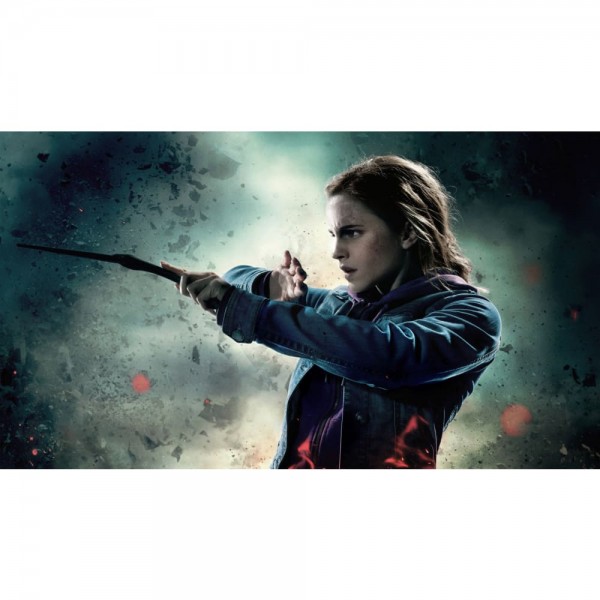 DIY diamant schilderij - Harry Potter PIX-1263