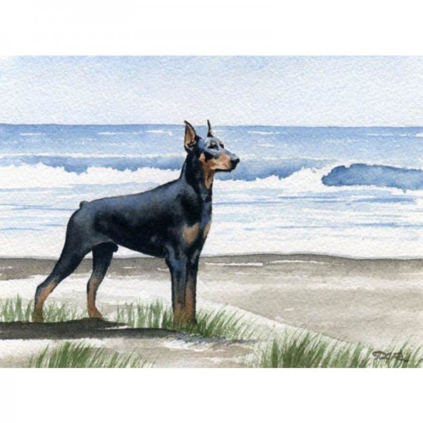 DIY diamant schilderij - Dobermann Pinscher strand PIX-623