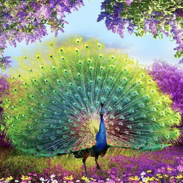 DIY Diamond Painting - Peacock Wealth And Good Fortune PIX-45