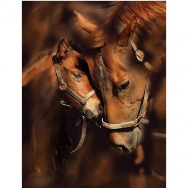 DIY Diamond Painting - Horses Love Forever PIX-290
