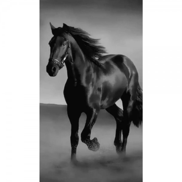 DIY Diamond Painting - Dieren PIX-2374