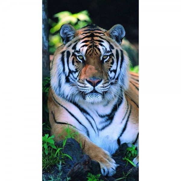 DIY Diamond Painting - Dieren PIX-2457