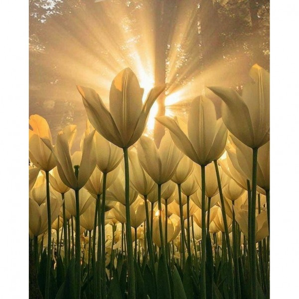 DIY Diamant Schilderij - Fantasie PIX-1941