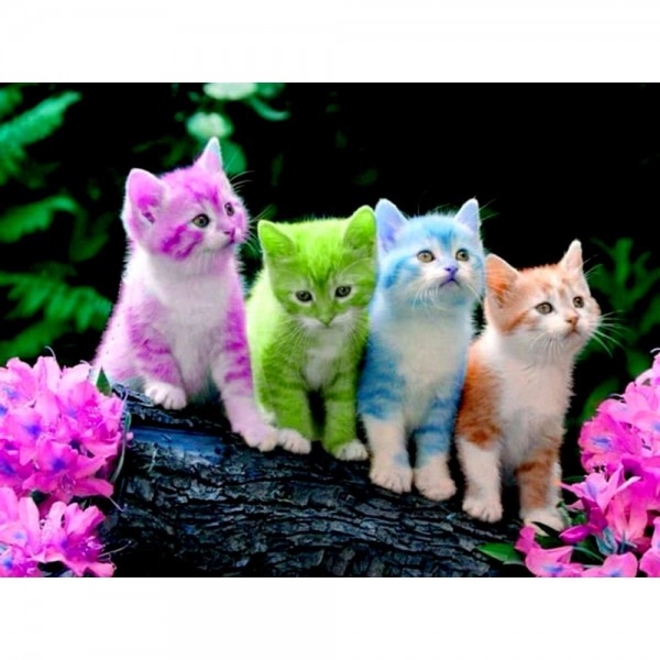 DIY Diamond Painting - Kat PIX-1362