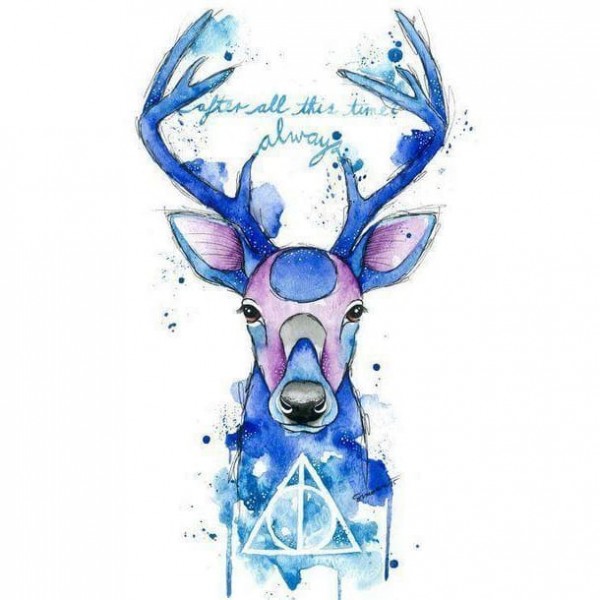 DIY diamant schilderij - Harry Potter PIX-1258