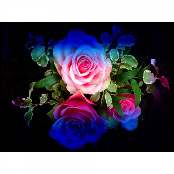 DIY Diamond Painting - Regenboogbloemen PIX-767