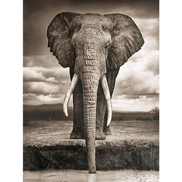 DIY Diamond Painting - Drinkende olifant PIX-190